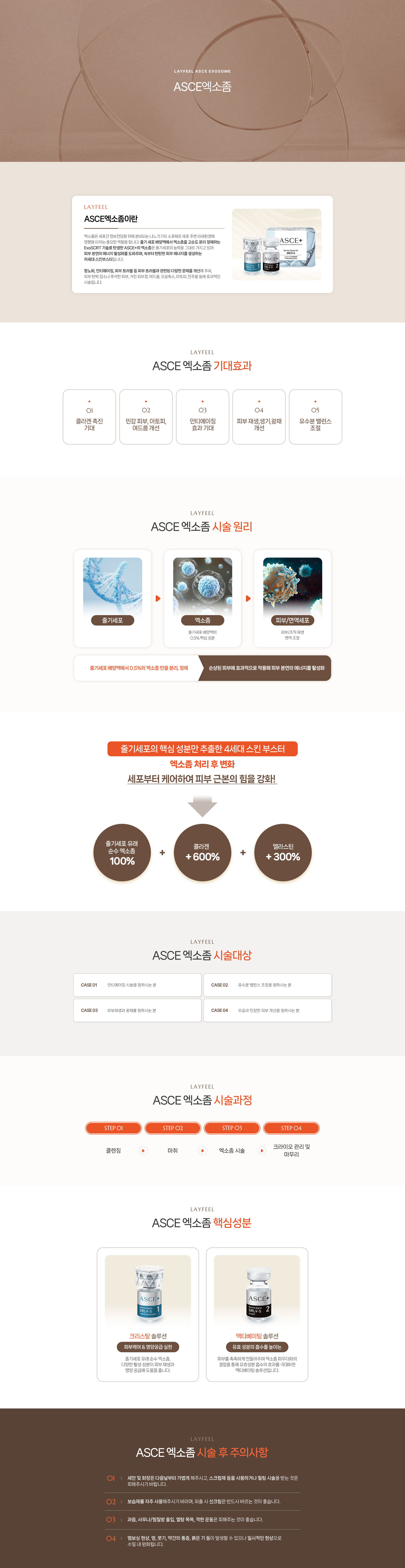 ASCE엑소좀